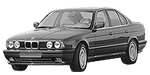 BMW E34 P244B Fault Code